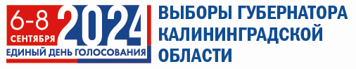 Выборы Губернатора Калининградской области